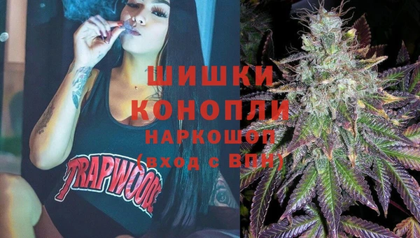 прущие крисы Абаза