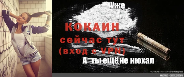 прущие крисы Абаза