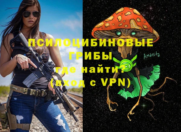 гидра Алексеевка