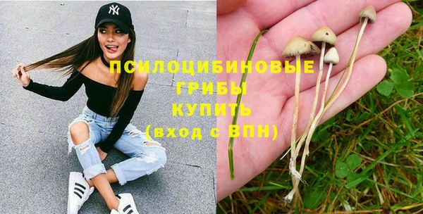 соль курить ск Алзамай