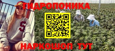 МДПВ Татарск