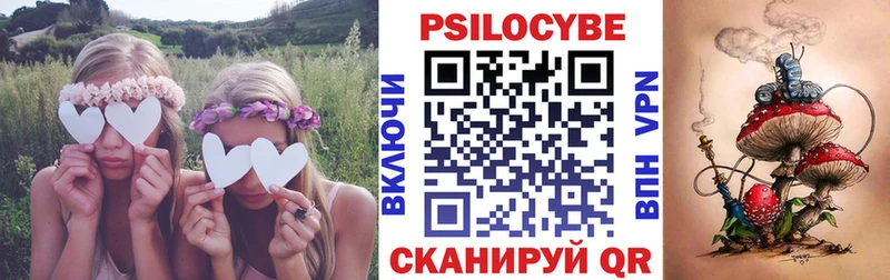 сколько стоит  Нягань  Псилоцибиновые грибы мицелий 